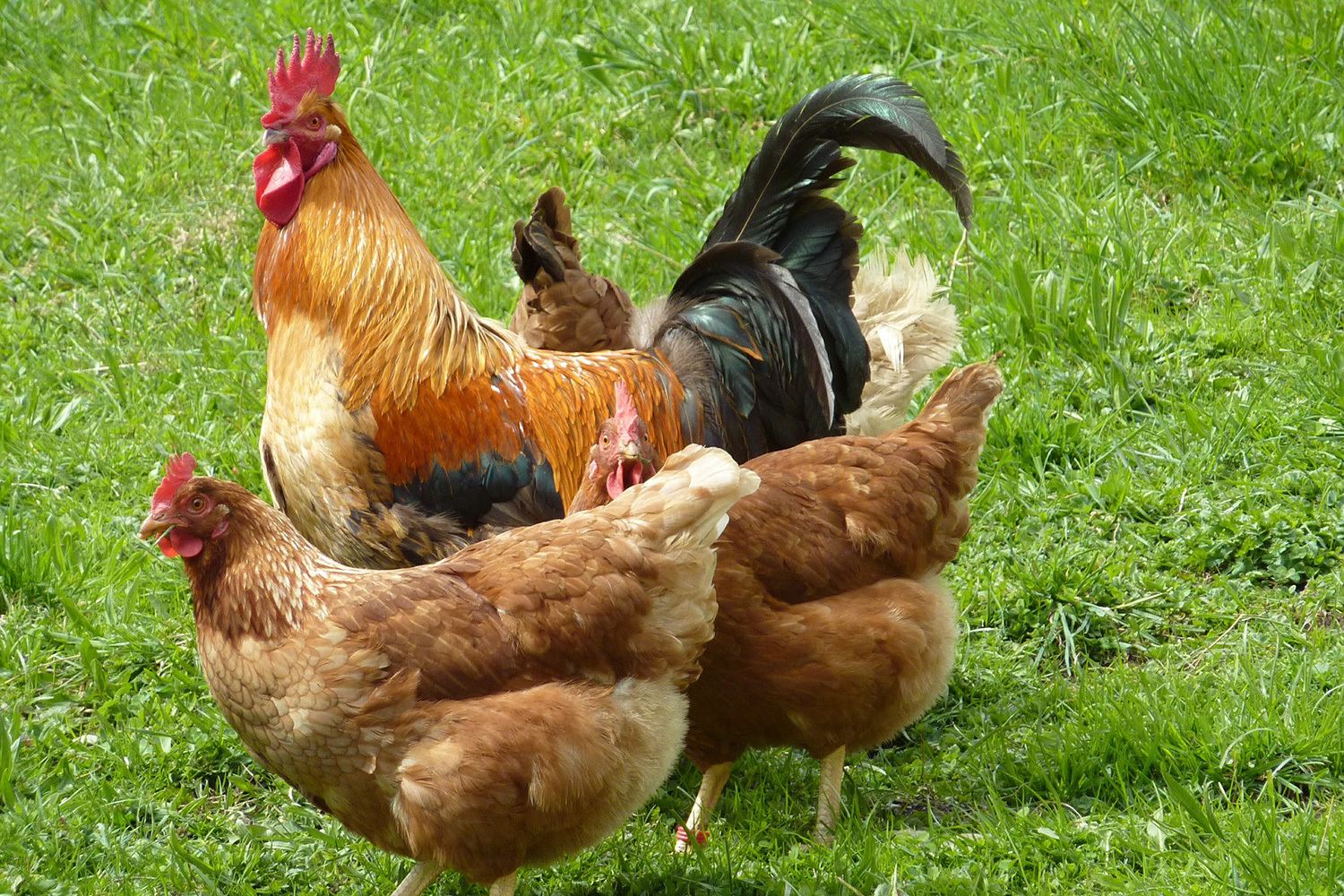 ПРЕДЛОЖЕНИЕ МЕСЯЦА<br>