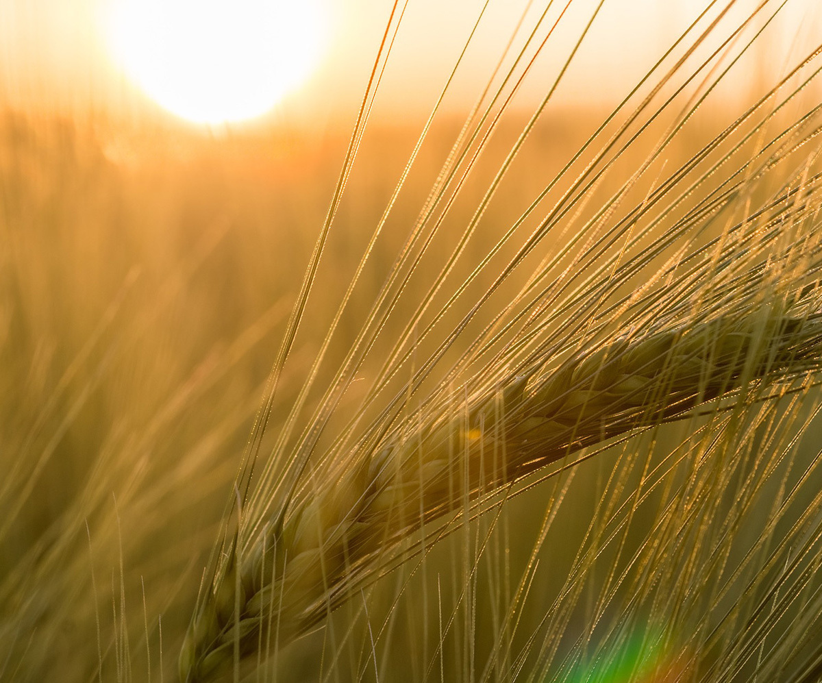 Экологичность в производстве