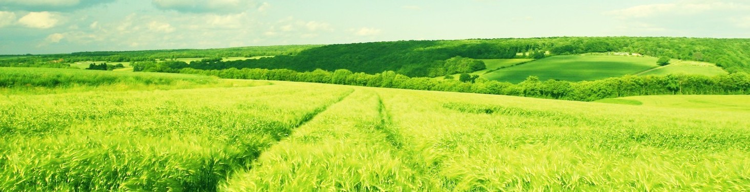 Производство комбикорма по вашей рецептуре