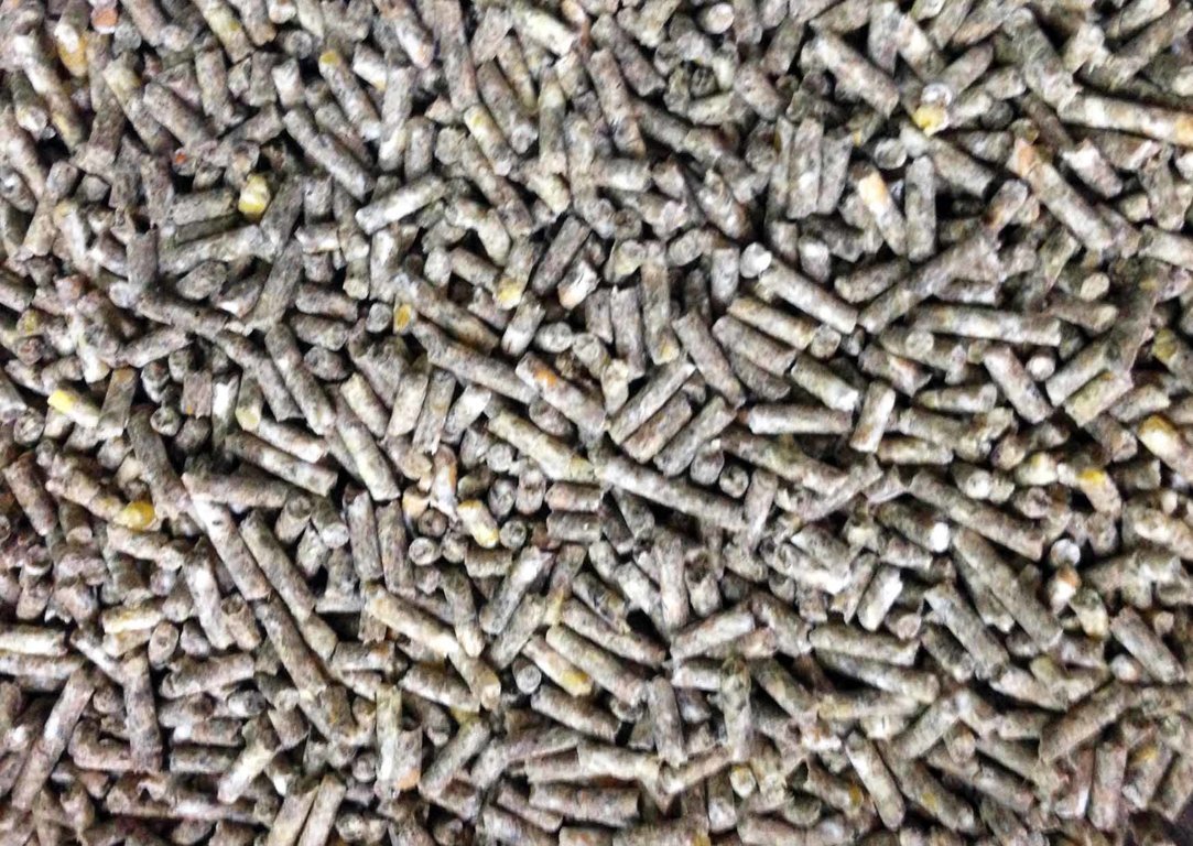 <span style="font-weight: bold;">для перепелов несушки ( гранула 2 ММ)</span>