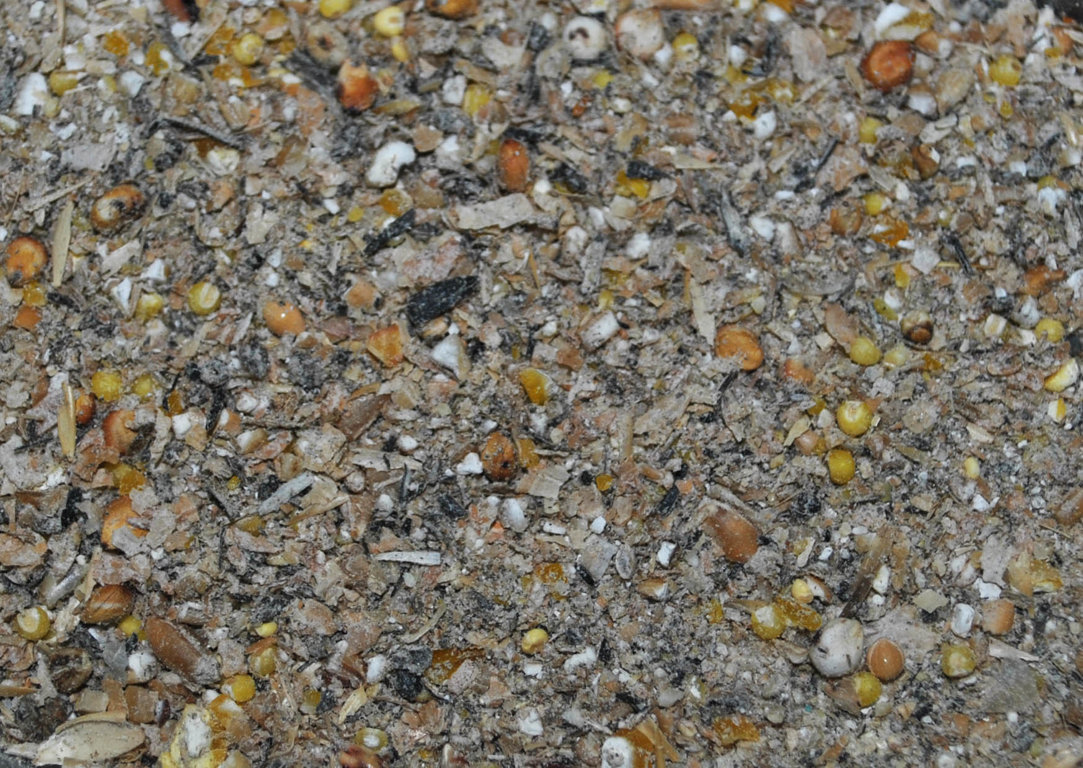 <span style="font-weight: bold;">для кур несушек (россыпь)</span>