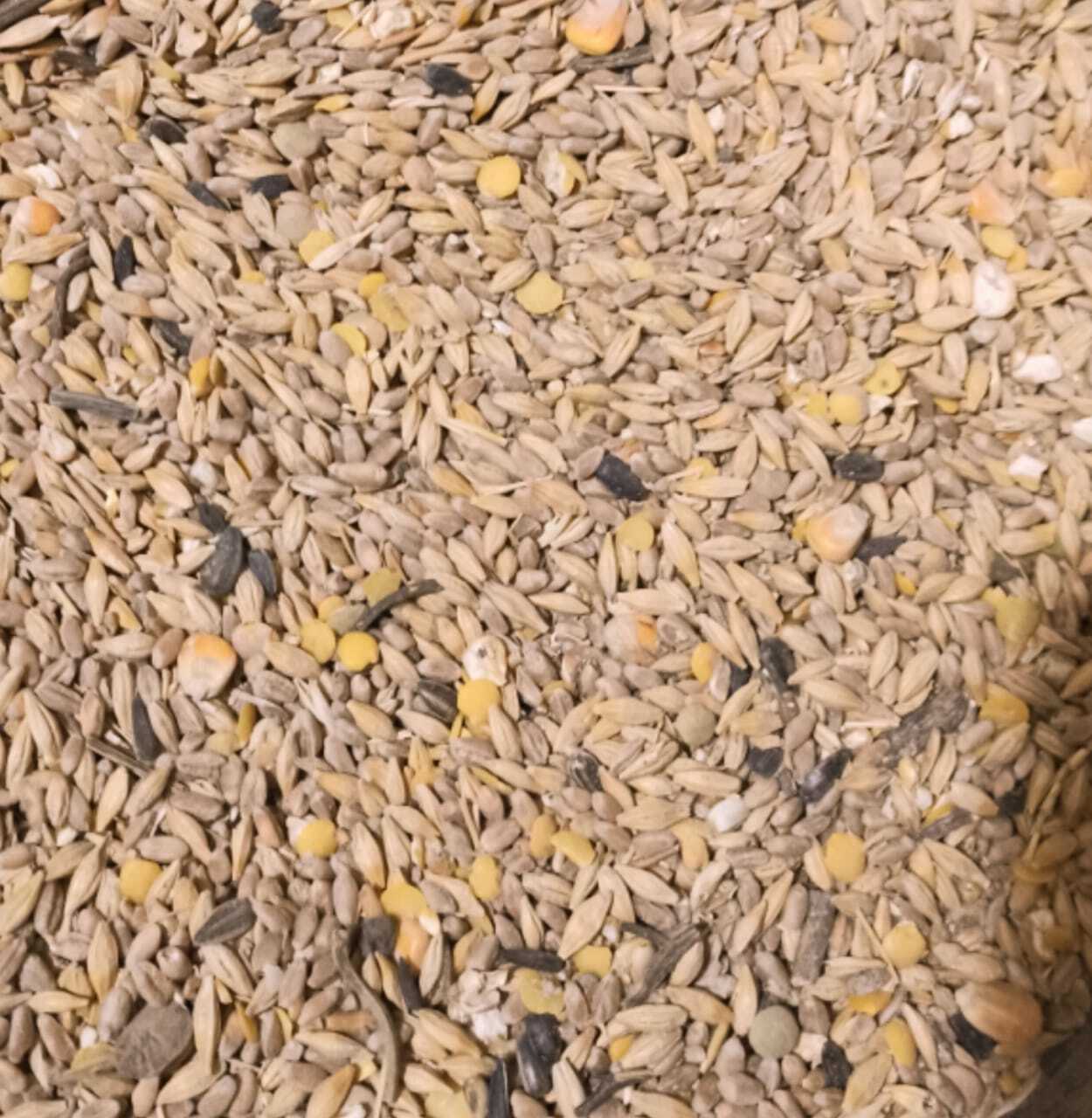 Купить Баскатовский Корм Для Кроликов В Самаре