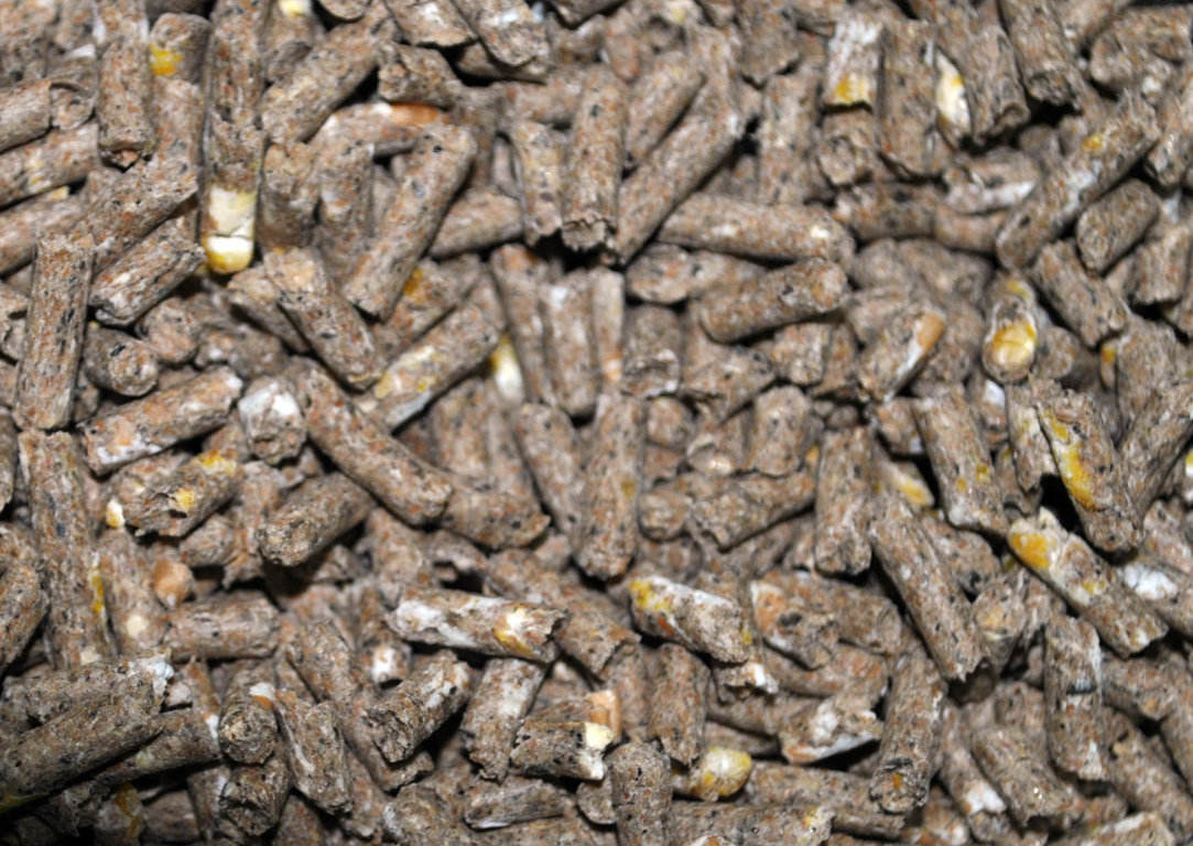 <span style="font-weight: bold;">для кроликов (откорм. гранула 4 ММ)</span>