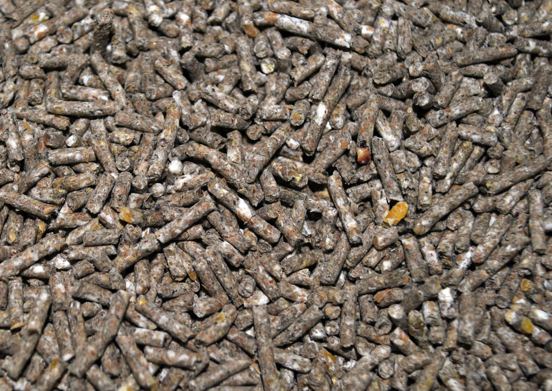 Купить Баскатовский Корм Для Кроликов В Самаре